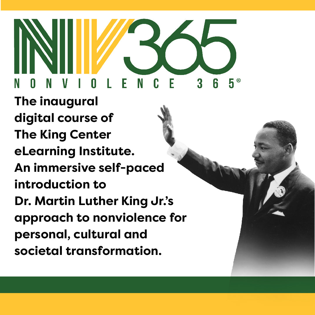 Nonviolence 365 Online Master Class